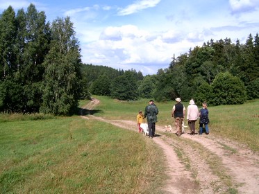 Cesta k Protivanovskmu mlnu